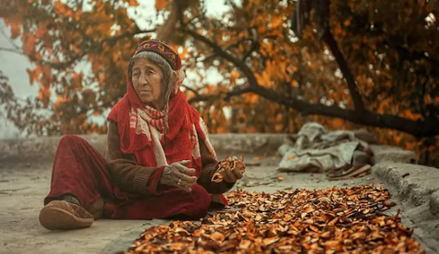 An elderly woman in Hunza sitting beside apricots laid out to dry